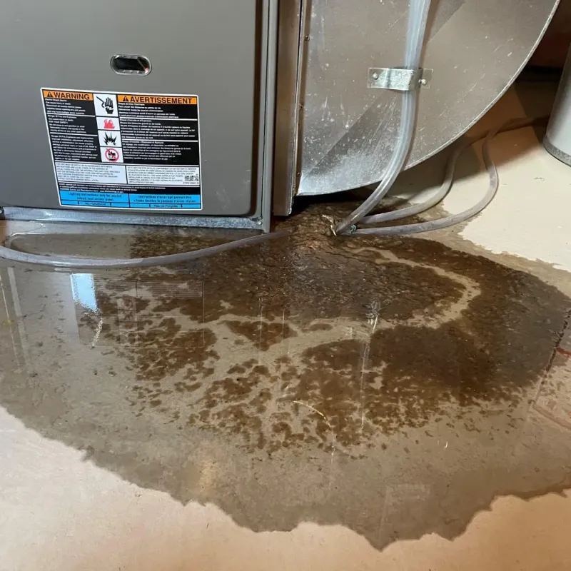 Appliance Leak Cleanup in Coolidge, AZ